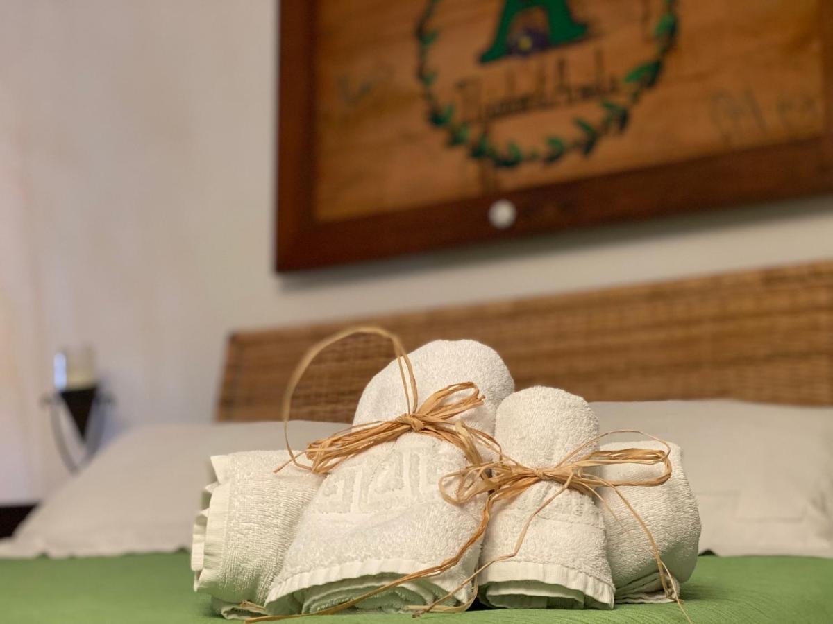 B&B Il Giardino Di Armida Ogliastro Cilento Zewnętrze zdjęcie
