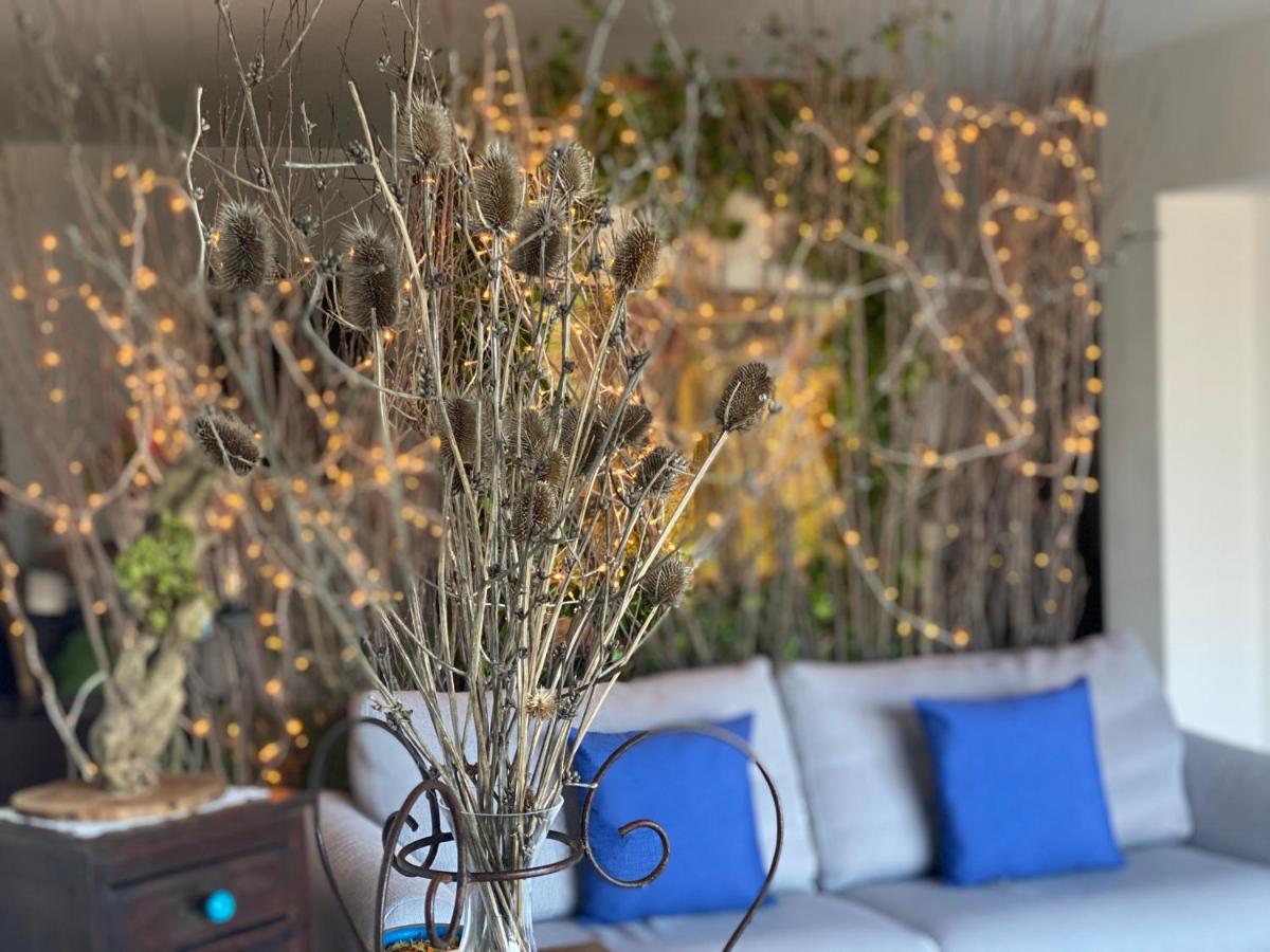 B&B Il Giardino Di Armida Ogliastro Cilento Zewnętrze zdjęcie