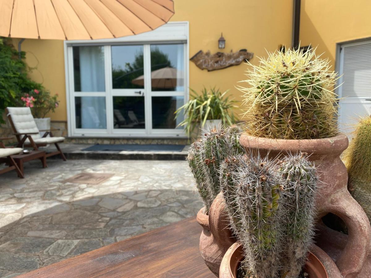 B&B Il Giardino Di Armida Ogliastro Cilento Zewnętrze zdjęcie