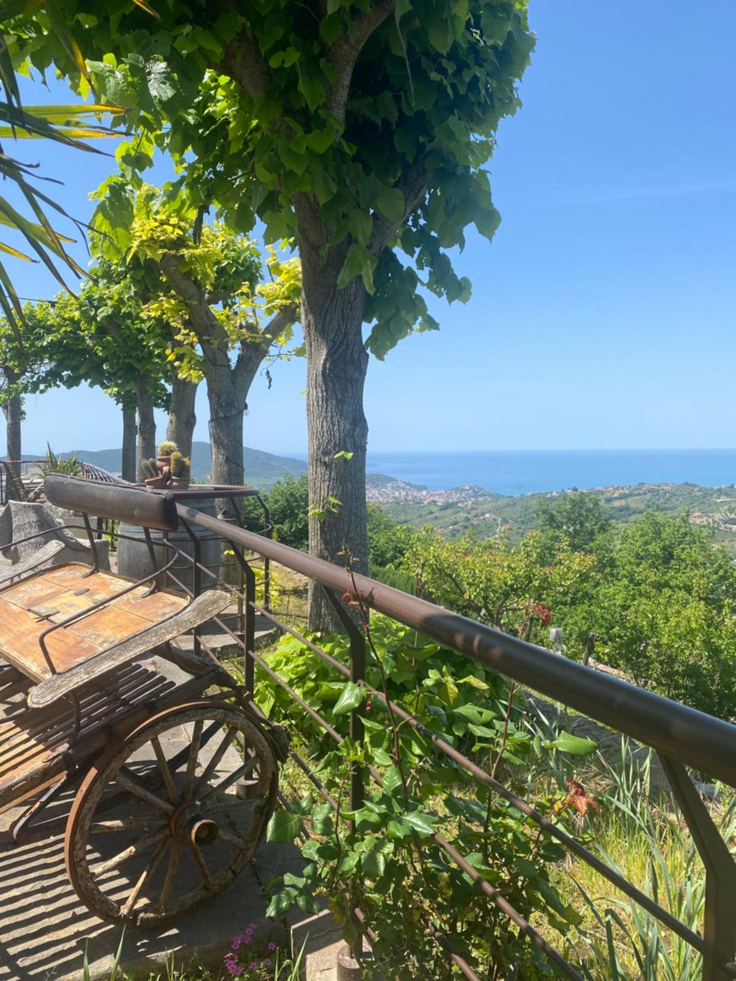 B&B Il Giardino Di Armida Ogliastro Cilento Zewnętrze zdjęcie