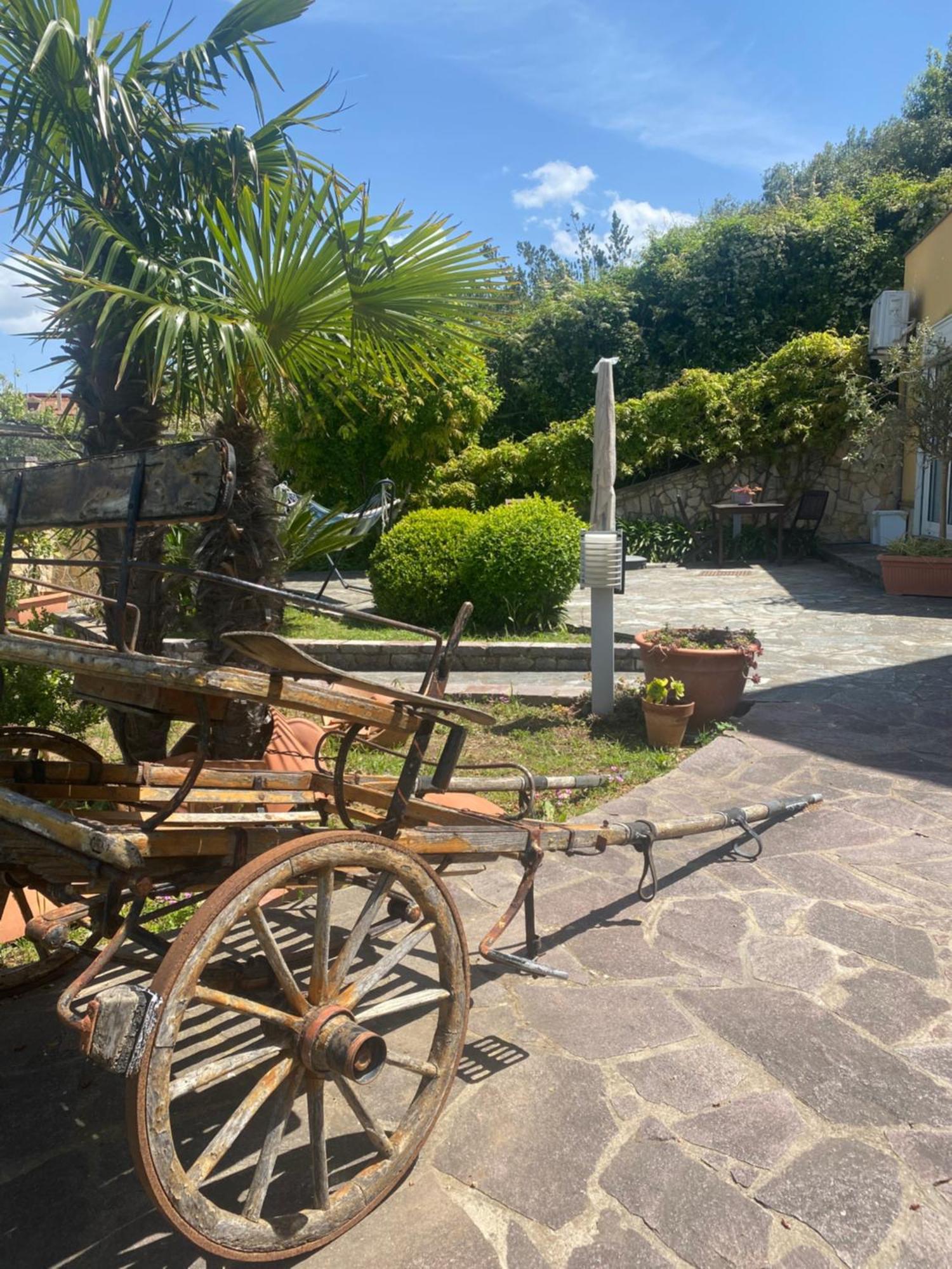 B&B Il Giardino Di Armida Ogliastro Cilento Zewnętrze zdjęcie