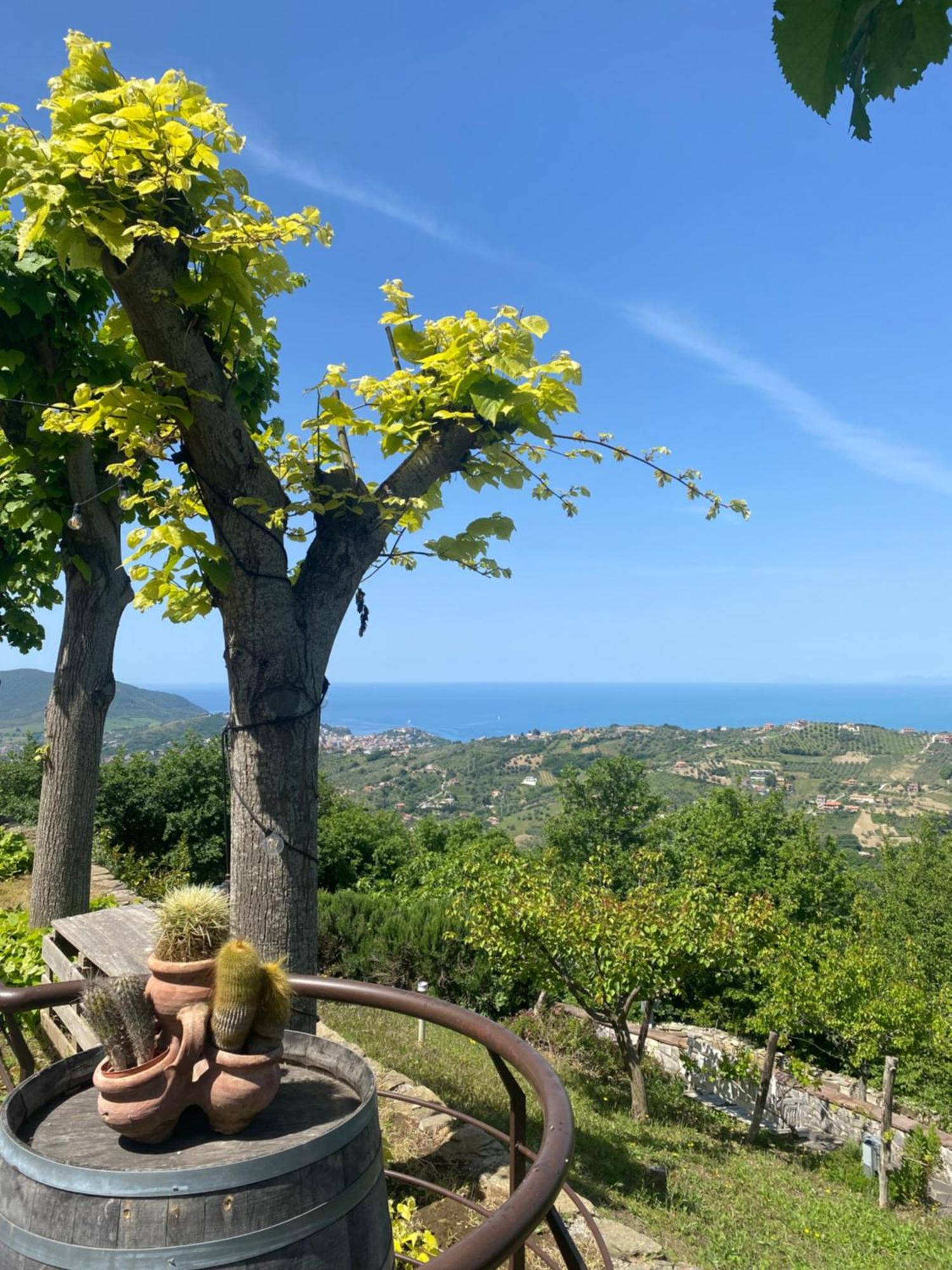 B&B Il Giardino Di Armida Ogliastro Cilento Zewnętrze zdjęcie